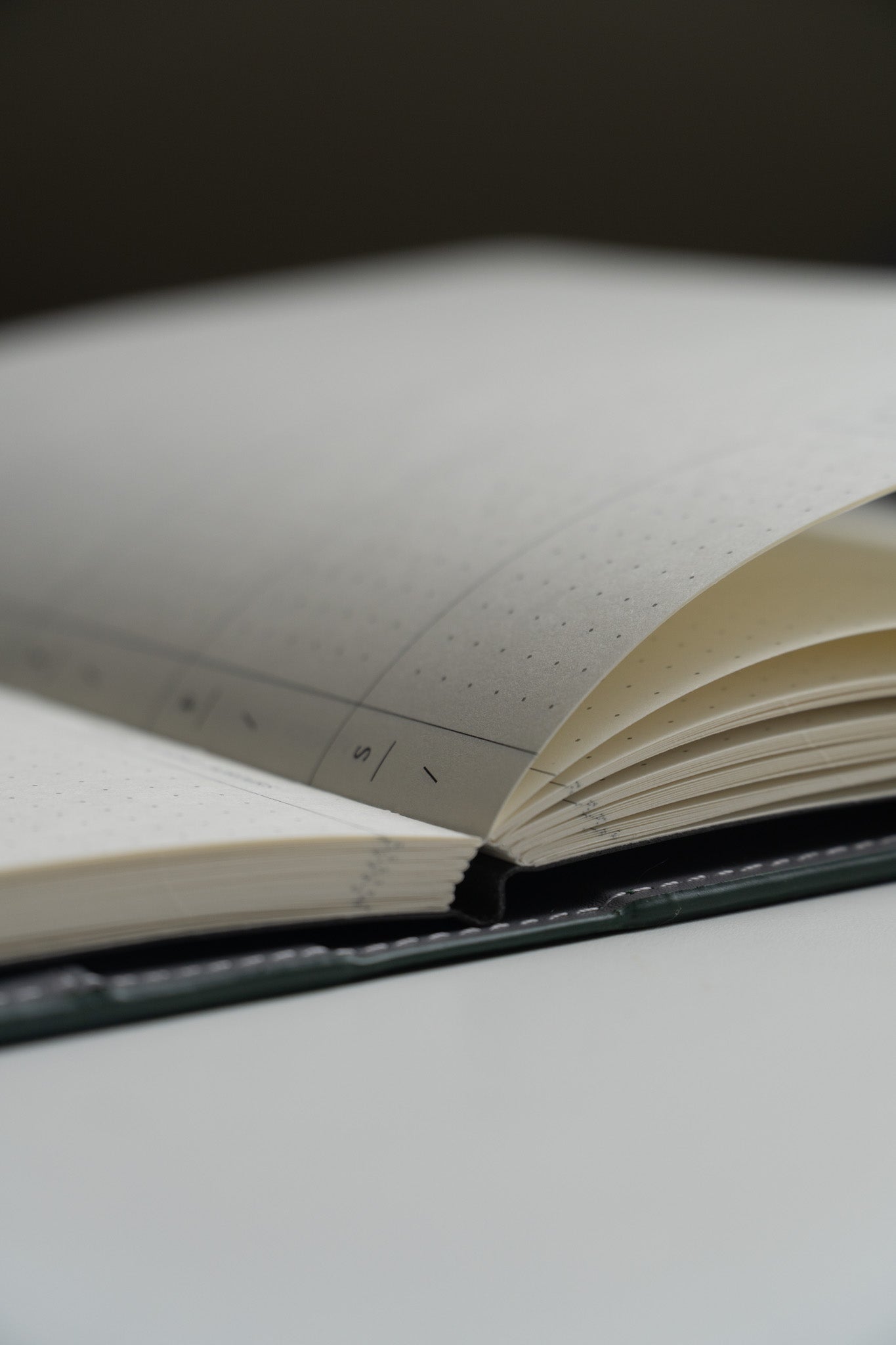 Forest - A5 Notebook Set